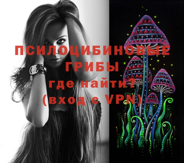 ECSTASY Аркадак