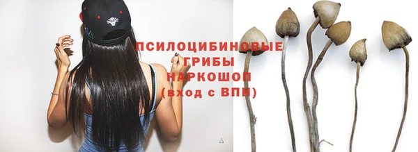 ПСИЛОЦИБИНОВЫЕ ГРИБЫ Армянск