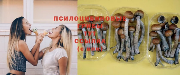 ECSTASY Аркадак