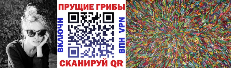 Галлюциногенные грибы Psilocybe  где купить наркотик  Светлый 