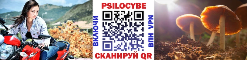 Псилоцибиновые грибы GOLDEN TEACHER Светлый